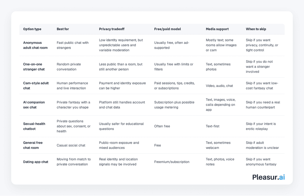 Sexchat: AI, Stranger Rooms, and Safer Choices
